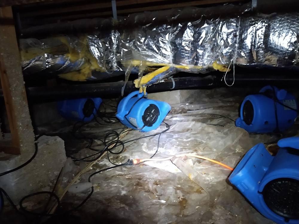 Crawl Space Cleaning Service